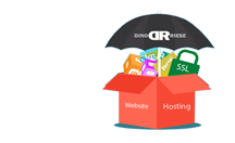 Dino Riese Logo | Web Hosting Services | 516.286.3583 | DinoRiese@gmail.com