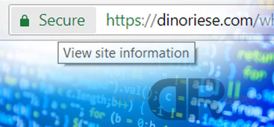 DinoRiese.com Web Design & On-Page SEO Specialist image of a SSL Account | Long Island & New York City | 516.286.3585