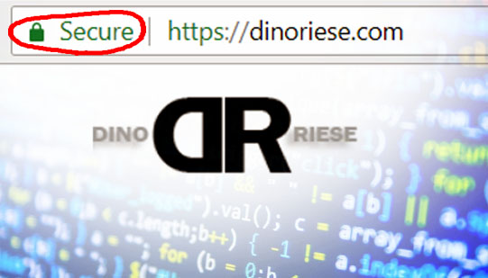 Dino Riese SSL Certificate Povidor image | Long Island, NYC, NY, 516.286.3583 | DinoRiese.com